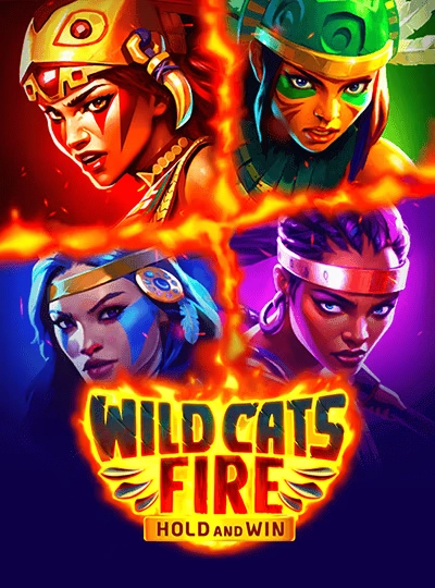Dragon Tiger live dealer cover