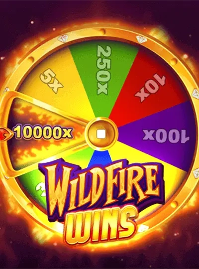 Premium video slot game cover